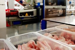 ניקוי וחיטוי לתעשיית המזון